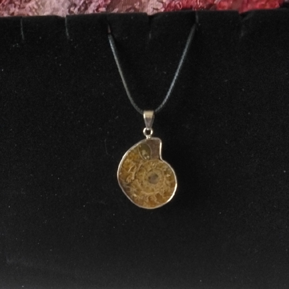 Elegant Fossil Pendant Necklace